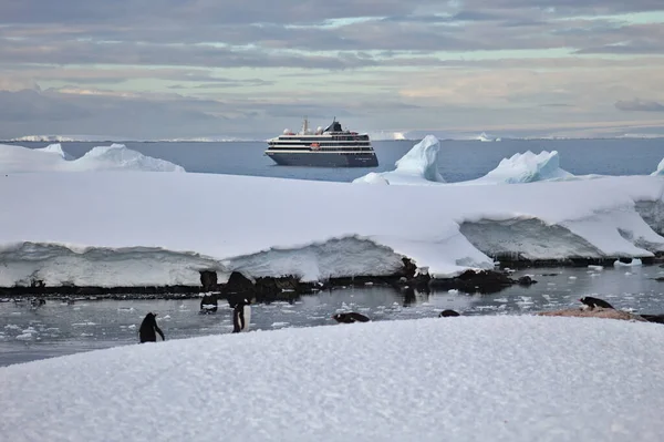 ワールドトラベラー 南極クルーズ船 — ストック写真