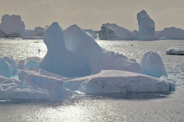 Антарктичний Пейзаж Скі Море Гори Айсберги — стокове фото