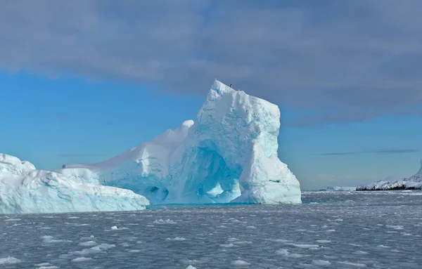 Paisagem Antártica Céu Mar Montanhas Icebergs — Fotografia de Stock