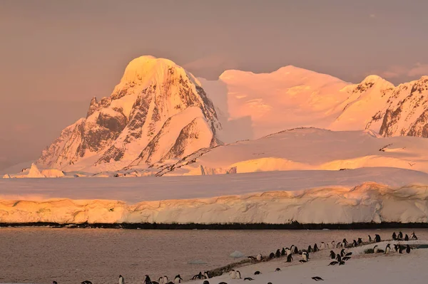 Paisaje Antártico Cielo Mar Montañas Témpanos —  Fotos de Stock