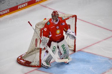 DUESSELDORF, Almanya - 25 Ekim 2022 Hokey maçı DEL Dusseldorfer EG - Icebaeren Berlin