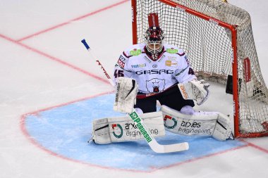 DUESSELDORF, Almanya - 25 Ekim 2022 Hokey maçı DEL Dusseldorfer EG - Icebaeren Berlin