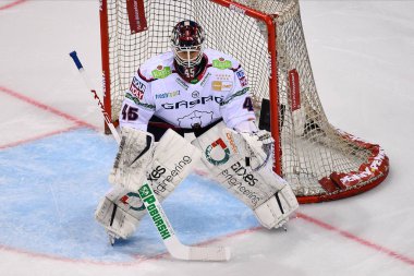 DUESSELDORF, Almanya - 25 Ekim 2022 Hokey maçı DEL Dusseldorfer EG - Icebaeren Berlin