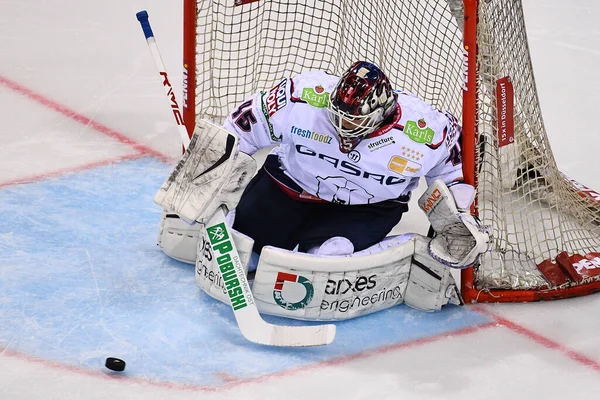 DUESSELDORF, Almanya - 25 Ekim 2022 Hokey maçı DEL Dusseldorfer EG - Icebaeren Berlin