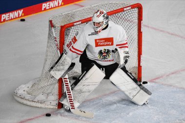 KREFELD, Almanya - 10 Kasım 2022: MADLENER David. Deutschland Kupası 2022, Avusturya - Slovakya Yayla-Arena 