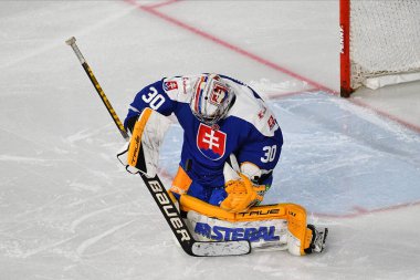 KREFELD, Almanya - NOVEMBER 10, 2022: GODLA Denis Deutschland Cup 2022, Avusturya - Yayla-Arena 'da Slovakya 