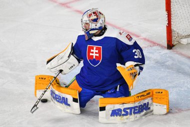 KREFELD, Almanya - NOVEMBER 10, 2022: GODLA Denis Deutschland Cup 2022, Avusturya - Yayla-Arena 'da Slovakya 