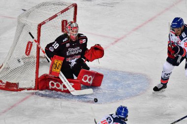 COLOGNE, ALMANE - 3 ARALIK 2022 Kış Oyunu. Hokey maçı DEL Koelner Haie - Adler Mannheim