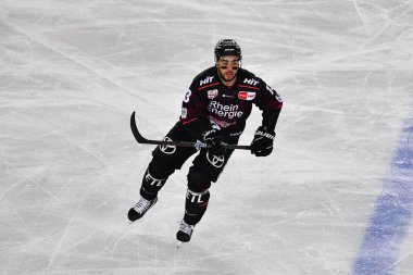 COLOGNE, ALMANE - 3 ARALIK 2022 Kış Oyunu. Hokey maçı DEL Koelner Haie - Adler Mannheim