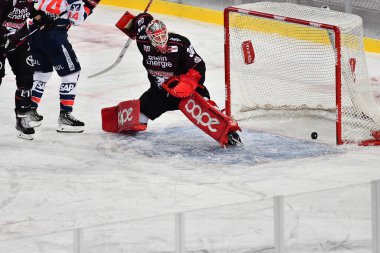COLOGNE, ALMANE - 3 ARALIK 2022 Kış Oyunu. Hokey maçı DEL Koelner Haie - Adler Mannheim