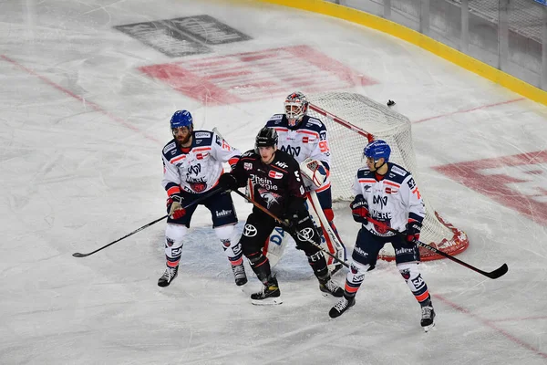COLOGNE, ALMANE - 3 ARALIK 2022 Kış Oyunu. Hokey maçı DEL Koelner Haie - Adler Mannheim