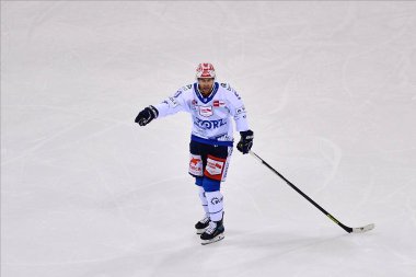 DÜKSELDORF, ALMANY - 4 ARALIK 2022 Hokey maçı DEL Duesseldorfer EG - Swenninger Wild Wins