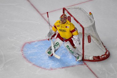 COLOGNE, Almanya - 16 Aralık 2022 Hokey maçı DeL Koelner Haie - Duesseldorfer EG