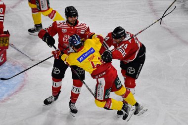 COLOGNE, Almanya - 16 Aralık 2022 Hokey maçı DeL Koelner Haie - Duesseldorfer EG