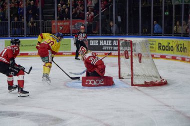 COLOGNE, ALMANY - 2 HAZİRAN 2023 Hokey maçı DeL Koelner Haie - Dusseldorfer EG 