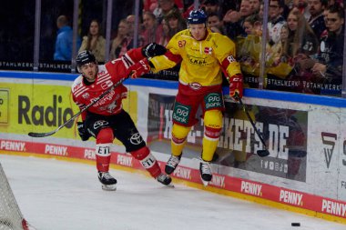 COLOGNE, ALMANY - 2 HAZİRAN 2023 Hokey maçı DeL Koelner Haie - Dusseldorfer EG 