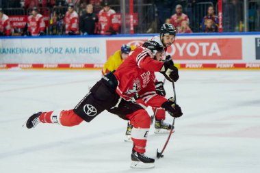 COLOGNE, ALMANY - 2 HAZİRAN 2023 Hokey maçı DeL Koelner Haie - Dusseldorfer EG 