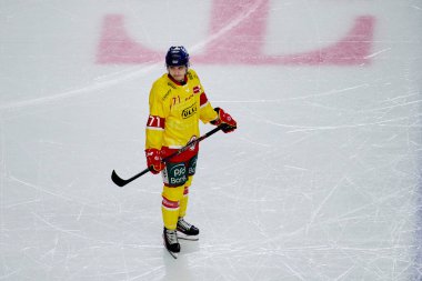 COLOGNE, ALMANY - 2 HAZİRAN 2023 Hokey maçı DeL Koelner Haie - Dusseldorfer EG 