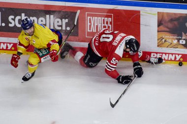 COLOGNE, ALMANY - 2 HAZİRAN 2023 Hokey maçı DeL Koelner Haie - Dusseldorfer EG 