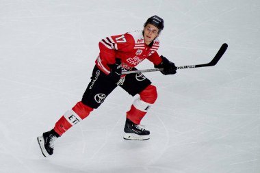 COLOGNE, ALMANY - 2 HAZİRAN 2023 Hokey maçı DeL Koelner Haie - Dusseldorfer EG 