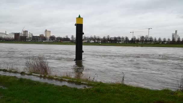 Cologne Germany January 2023 Rhein Cologne Flooded Rhine Water Level — 비디오