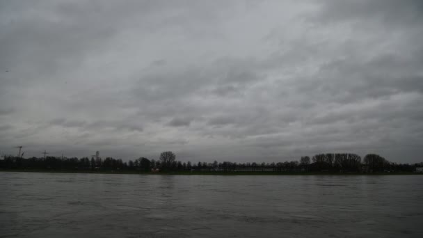Колонья Германия Января 2023 Рейн Кёльне Затопленный Уровень Рейнской Воды — стоковое видео