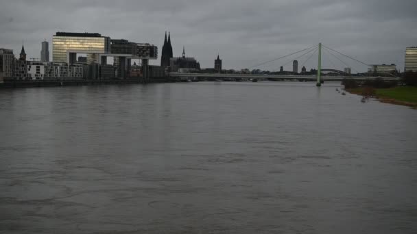 Cologne Germany January 2023 Rhein Cologne Flooded Rhine Water Level — Stok video