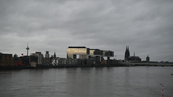 Cologne Germany January 2023 Rhein Cologne Flooded Rhine Water Level — 비디오