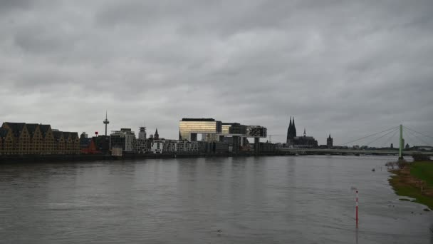 Cologne Germany Січня 2023 Рейн Кельні Затоплений Рівень Води Рейні — стокове відео