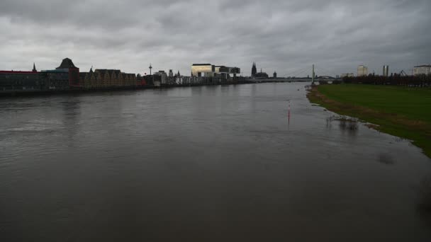 Cologne Germany January 2023 Rhein Cologne Flooded Rhine Water Level — Αρχείο Βίντεο