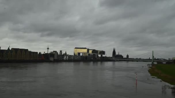 Cologne Germany January 2023 Rhein Cologne Flooded Rhine Water Level — Stock video