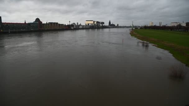 Cologne Germany January 2023 Rhein Cologne Flooded Rhine Water Level — Stockvideo