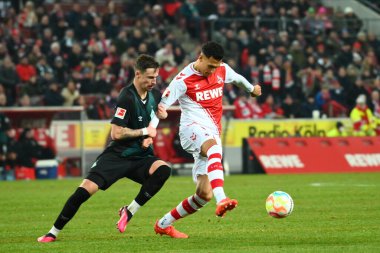 GERMANY, COLOGNE - JANUARY 21, 2023: Davie Selke. The match of Bundesliga 1.FC Koeln  vs SV Werder Bremen