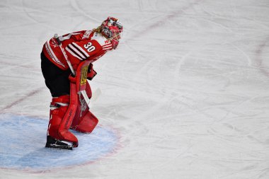 COLOGNE, GERMANY - JANUARY 24, 2023:  Hockey match DEL Koelner Haie - Iselorhn Roosters