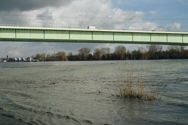 COLOGNE, GERMANY - JANUARY 17, 2023: High water after heavy rainfall and snow melting in Rheinland.