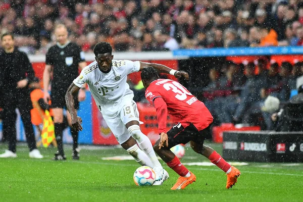 LEVERKUSEN, ALMANY - 19.03.23: Alphonso Davies. Bundesliga maçı Bayer 04 Leverkusen, Bayarena 'da Bayern Muenchen' e karşı.