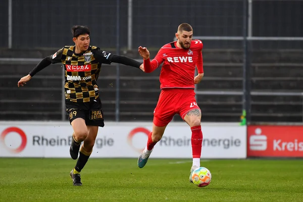 stock image COLOGNE, GERMANY - 23.03.23: The football match 1. FC Koeln vs St.Truiden at Franz Kremer Stadion