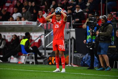 MAINZ, GERMANY - 25.03.23: MeWA Arena 'da Almanya ile Peru arasındaki futbol maçı