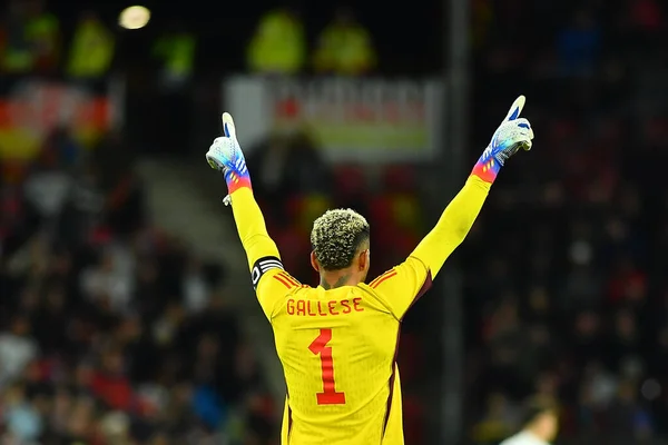 stock image MAINZ, GERMANY - 25.03.23: Pedro Gallese. The football match between Germany vs Peru at MEWA Arena