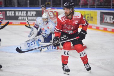 COLOGNE, Almanya - 26.03.23: Hokey maçı DEL KOELNER HAIE - Lanxess Arena 'da Adler MANNHEIM