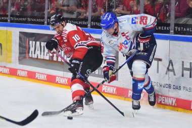 COLOGNE, Almanya - 26.03.23: Hokey maçı DEL KOELNER HAIE - Lanxess Arena 'da Adler MANNHEIM