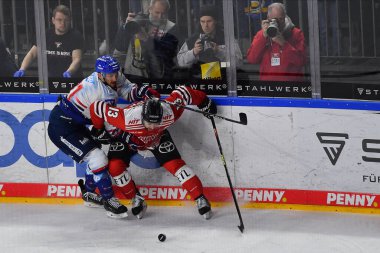 COLOGNE, Almanya - 26.03.23: Hokey maçı DEL KOELNER HAIE - Lanxess Arena 'da Adler MANNHEIM