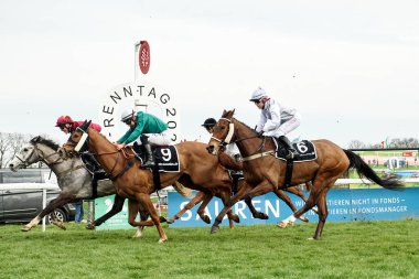 ALMANY, COLOGNE - 10 Nisan 2023: At yarışı FC-RENTAG