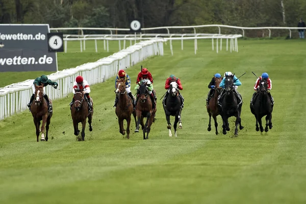 stock image GERMANY, COLOGNE - APRIL 10, 2023: Horseracing FC-RENNTAG