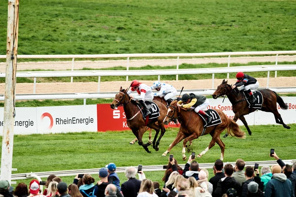 Germany Cologne April 2023 Horseracing Renntag — 스톡 사진