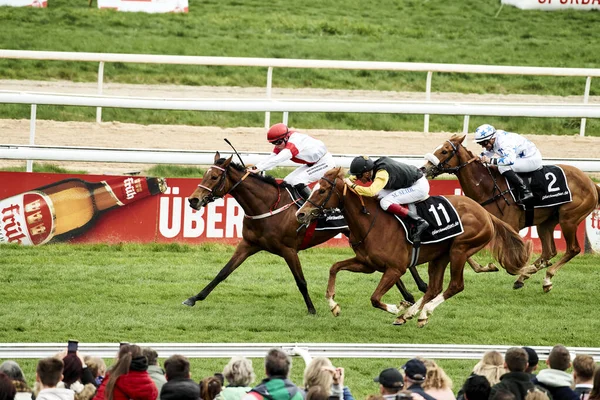 Germany Cologne April 2023 Horseracing Renntag — 스톡 사진