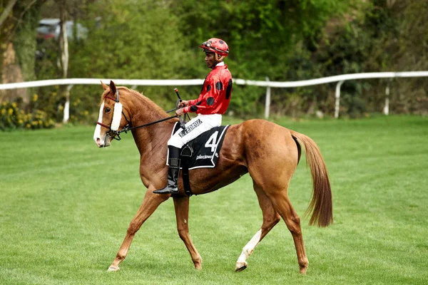 Tyskland Cologne April 2023 Hästkapplöpning Renntag — Stockfoto