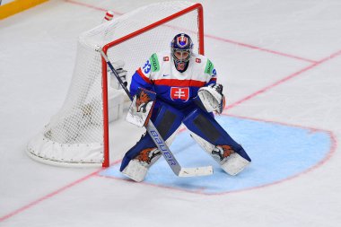 LATVIA, RIGA - 12.05.23: SKORVANEK Stanislav. Slovakya Oyunu - Çek Cumhuriyeti. IIHF 2023 Buz Hokeyi Dünya Şampiyonası