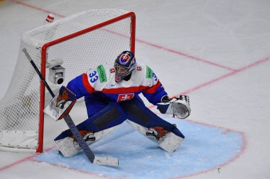 LATVIA, RIGA - 12.05.23: SKORVANEK Stanislav. Slovakya Oyunu - Çek Cumhuriyeti. IIHF 2023 Buz Hokeyi Dünya Şampiyonası