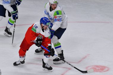 LATVIA, RIGA - 18.05.23 FLEK Jakub, STEBIH Miha. Çek Cumhuriyeti, Slovenya 'ya karşı. IIHF 2023 Buz Hokeyi Dünya Şampiyonası Arena Riga 'da